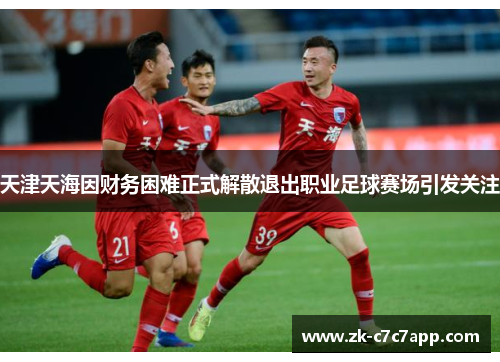 天津天海因财务困难正式解散退出职业足球赛场引发关注 天津天海因财务困难正式解散退出职业足球赛场引发关注