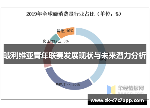 玻利维亚青年联赛发展现状与未来潜力分析 玻利维亚青年联赛发展现状与未来潜力分析