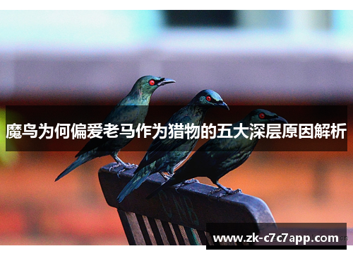 魔鸟为何偏爱老马作为猎物的五大深层原因解析 魔鸟为何偏爱老马作为猎物的五大深层原因解析